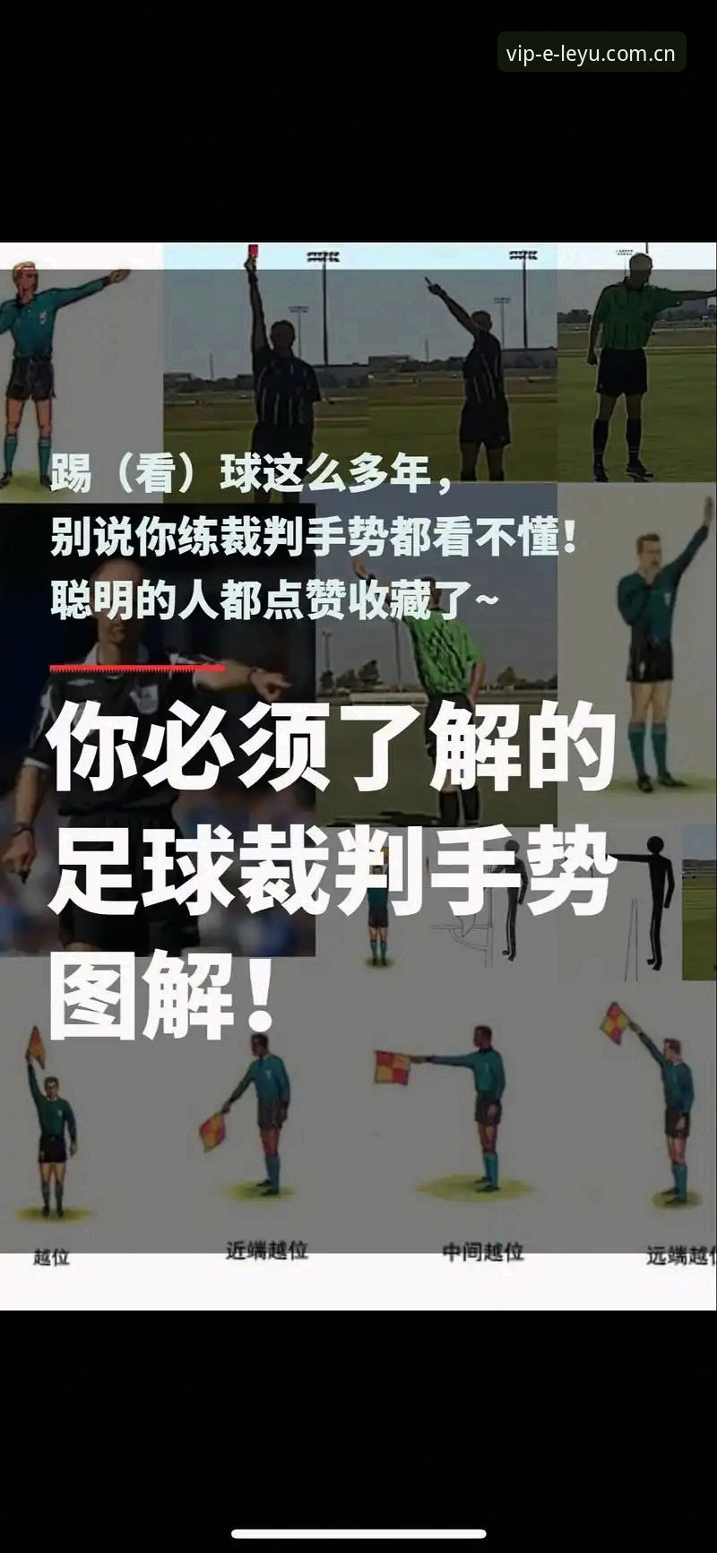 从马宁世界杯执裁看裁判自我修养：乐鱼体育平台观赛实用教程